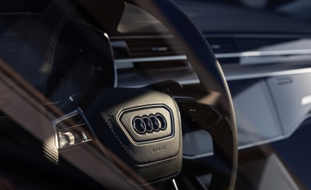 2022 Audi S8 (Color: Vesuvius Gray; US-Spec) Interior Detail Wallpapers 450x275 (62)