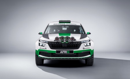 2022 Skoda Afriq Concept Front Wallpapers 450x275 (24)