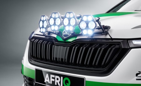 2022 Skoda Afriq Concept Grille Wallpapers 450x275 (28)