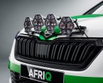 2022 Skoda Afriq Concept Grille Wallpapers  150x120 (29)