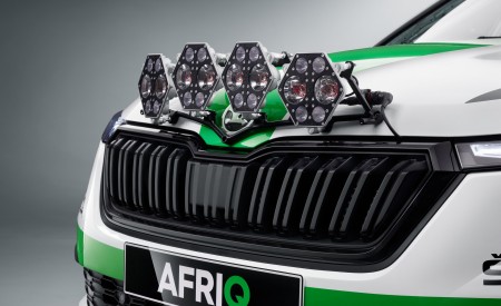 2022 Skoda Afriq Concept Grille Wallpapers  450x275 (29)
