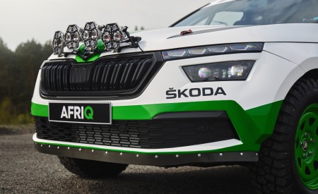 2022 Skoda Afriq Concept Grille Wallpapers 450x275 (20)