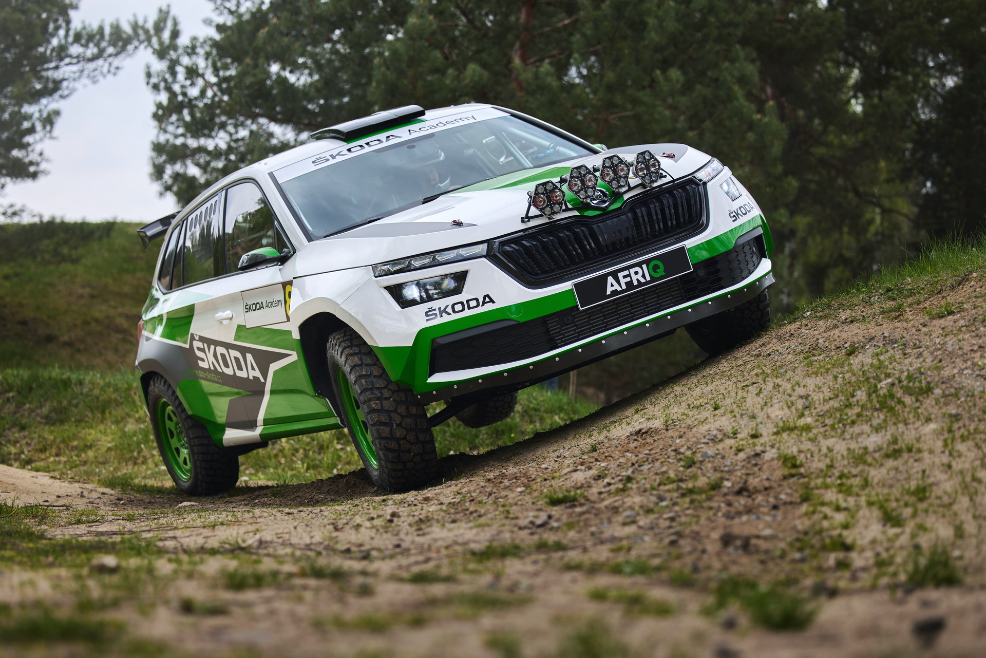 2022 Skoda Afriq Concept Off-Road Wallpapers  (6)