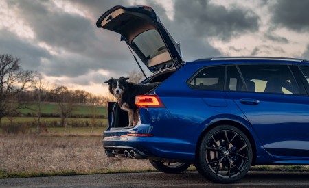 2022 Volkswagen Golf R Estate UK version Detail Wallpapers 450x275 (26)