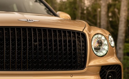 2023 Bentley Bentayga Extended Wheelbase Extroverted (Color: Camel) Grille Wallpapers 450x275 (69)