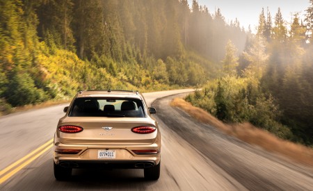 2023 Bentley Bentayga Extended Wheelbase Extroverted (Color: Camel) Rear Wallpapers 450x275 (62)