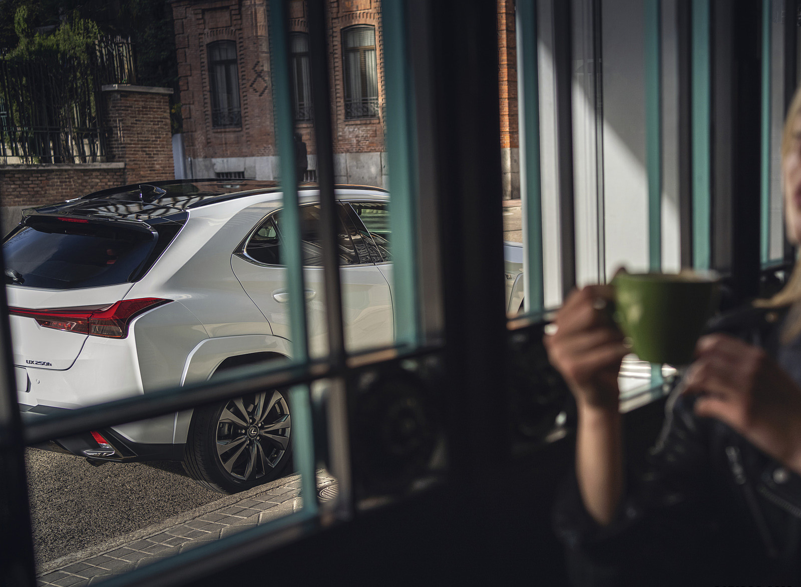 2023 Lexus UX 250h F Sport Detail Wallpapers  (13)