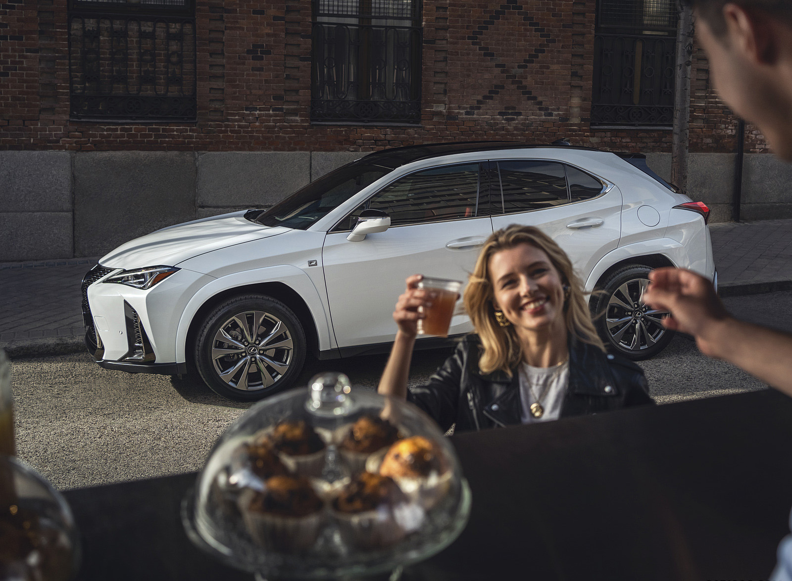 2023 Lexus UX 250h F Sport Detail Wallpapers (12)