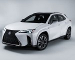 2023 Lexus UX 250h F Sport Front Three-Quarter Wallpapers 150x120 (20)