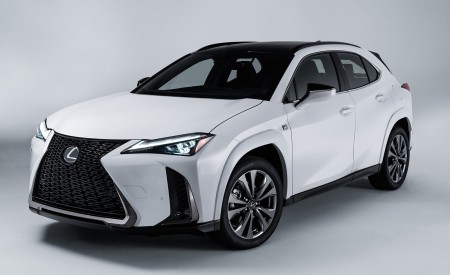 2023 Lexus UX 250h F Sport Front Three-Quarter Wallpapers 450x275 (20)