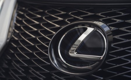 2023 Lexus UX 250h F Sport Grille Wallpapers 450x275 (14)