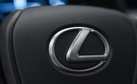 2023 Lexus UX 250h F Sport Interior Steering Wheel Wallpapers 450x275 (28)