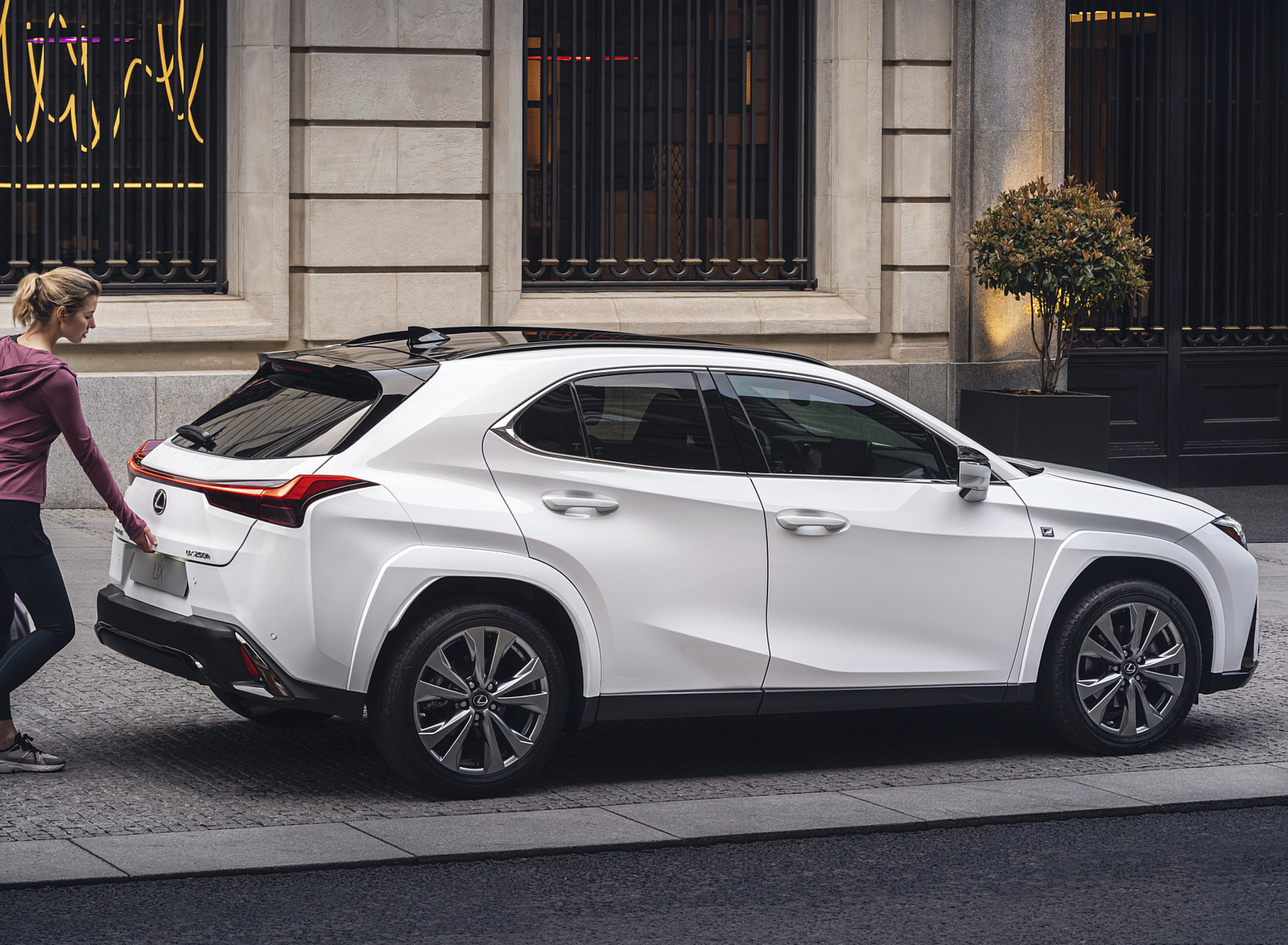2023 Lexus UX 250h F Sport Rear Three-Quarter Wallpapers (9)