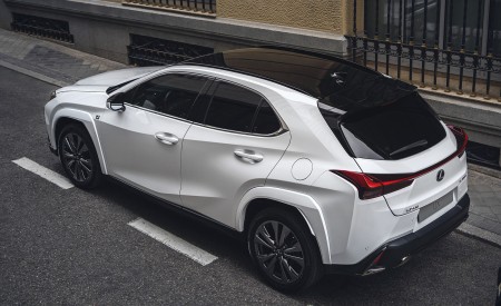 2023 Lexus UX 250h F Sport Rear Three-Quarter Wallpapers 450x275 (8)