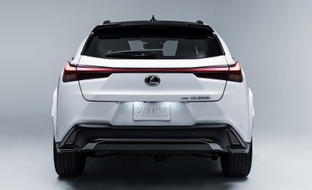 2023 Lexus UX 250h F Sport Rear Wallpapers 450x275 (22)