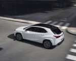 2023 Lexus UX 250h F Sport Top Wallpapers 150x120 (7)