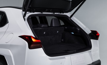 2023 Lexus UX 250h F Sport Trunk Wallpapers 450x275 (35)