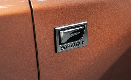 2023 Lexus RX 500h F SPORT DIRECT4 (Color: Sonic Copper) Badge Wallpapers 450x275 (29)