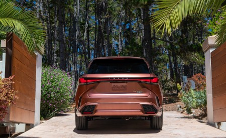 2023 Lexus RX 500h F SPORT DIRECT4 (Color: Sonic Copper) Rear Wallpapers 450x275 (25)