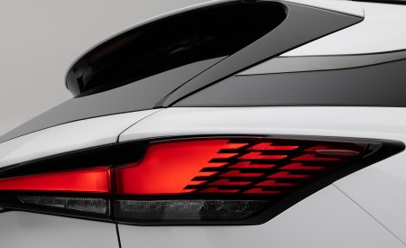 2023 Lexus RX 500h F SPORT Performance Tail Light Wallpapers 450x275 (60)