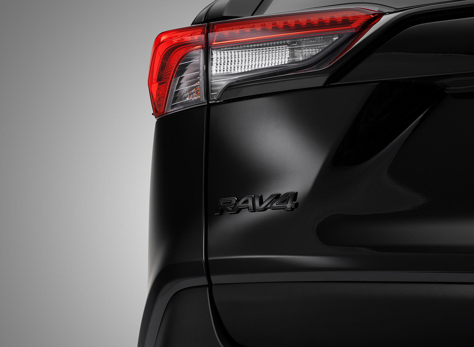 2023 Toyota RAV4 Hybrid Woodland Edition Detail Wallpapers (6)