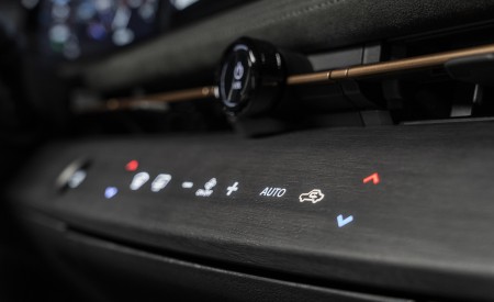 2023 Nissan Ariya Central Console Wallpapers  450x275 (47)