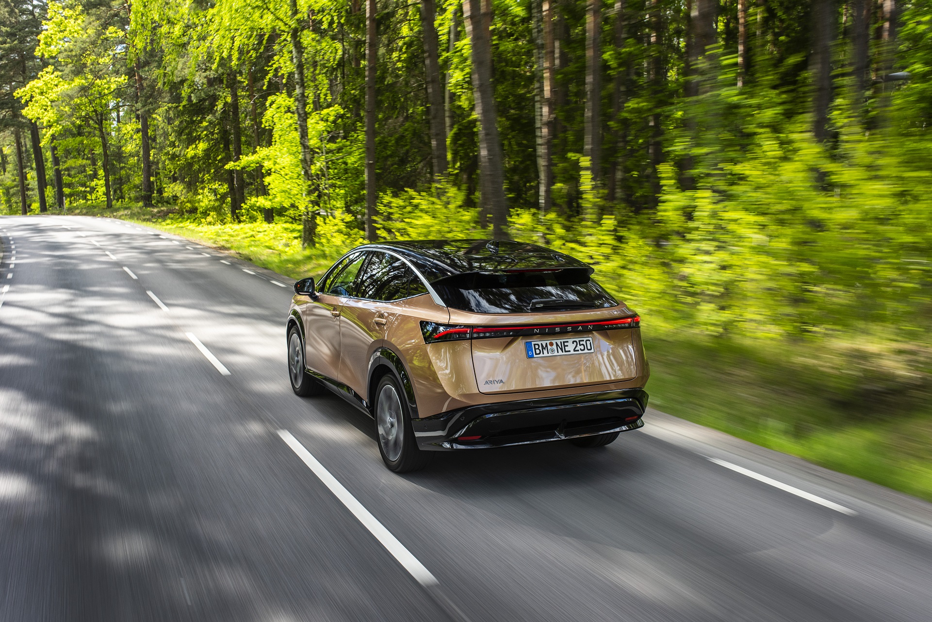 2023 Nissan Ariya Rear Wallpapers  (13)