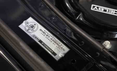 2022 Ford Mustang Shelby GT500 Code Red Detail Wallpapers 450x275 (18)