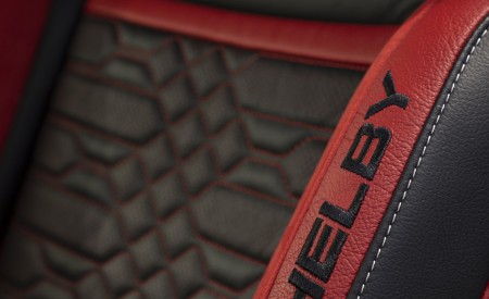 2022 Ford Mustang Shelby GT500 Code Red Interior Seats Wallpapers 450x275 (24)