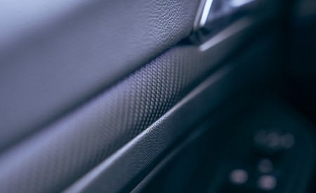 2022 Volkswagen Golf R 20th Anniversary Edition (US-Spec) Interior Detail Wallpapers  450x275 (49)