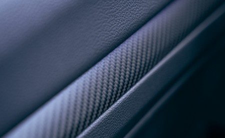 2022 Volkswagen Golf R 20th Anniversary Edition (US-Spec) Interior Detail Wallpapers 450x275 (51)