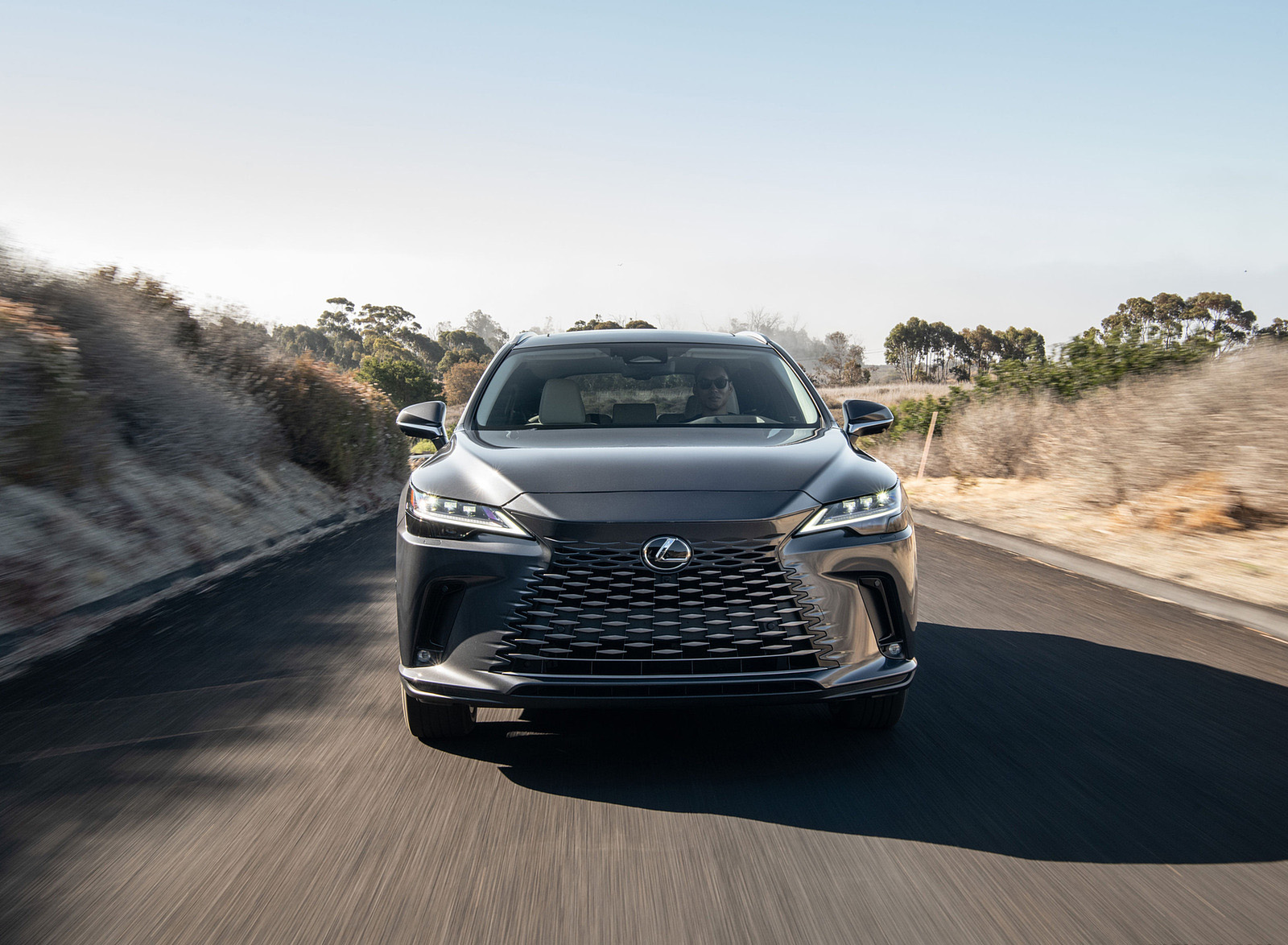 2023 Lexus RX 450h+ Luxury PHEV (Color: Sonic Grey) Front Wallpapers (14)