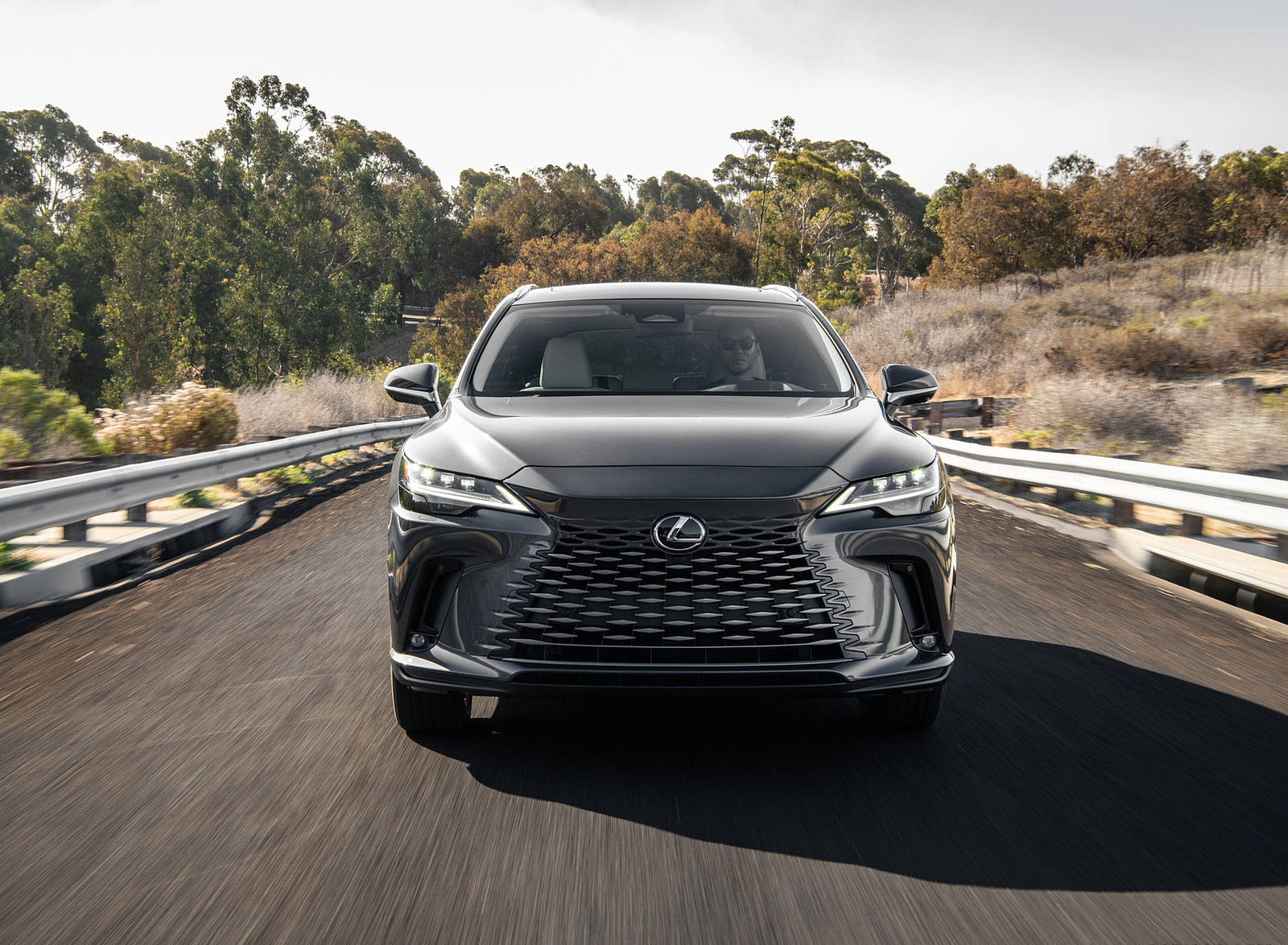 2023 Lexus RX 450h+ Luxury PHEV (Color: Sonic Grey) Front Wallpapers (15)