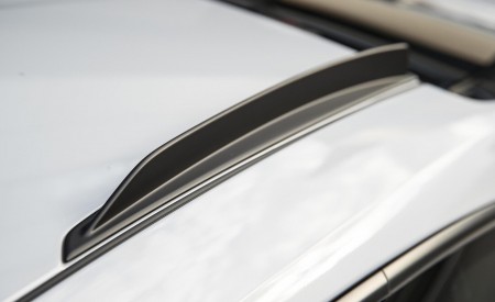 2023 Porsche 911 GT3 RS (Color: Ice Grey Metallic) Detail Wallpapers 450x275 (72)