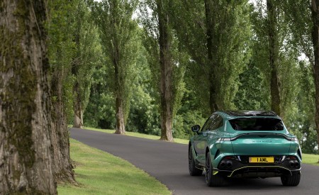2023 Aston Martin DBX707 (Color: Q 2022 F1 Green) Rear Wallpapers 450x275 (58)