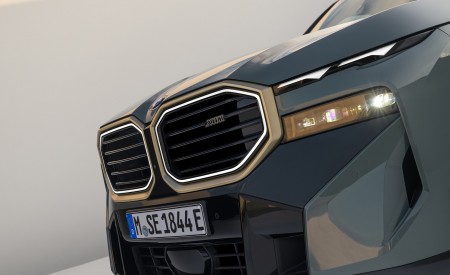 2023 BMW XM Grille Wallpapers 450x275 (91)