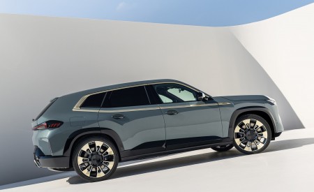 2023 BMW XM Side Wallpapers 450x275 (81)