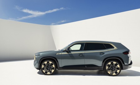 2023 BMW XM Side Wallpapers  450x275 (83)