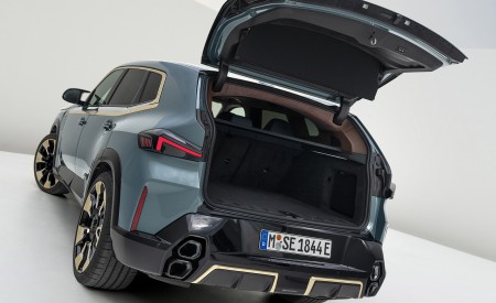 2023 BMW XM Trunk Wallpapers 450x275 (131)