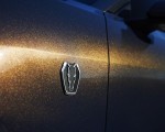 2024 Ford Mustang Dark Horse Badge Wallpapers 150x120 (13)