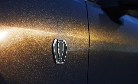 2024 Ford Mustang Dark Horse Badge Wallpapers 450x275 (13)