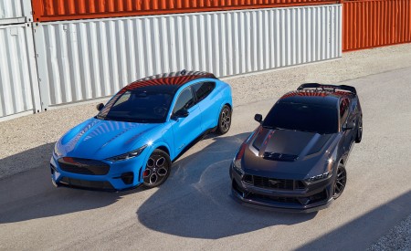 2024 Ford Mustang Dark Horse and Mustang Mach-E Wallpapers 450x275 (17)