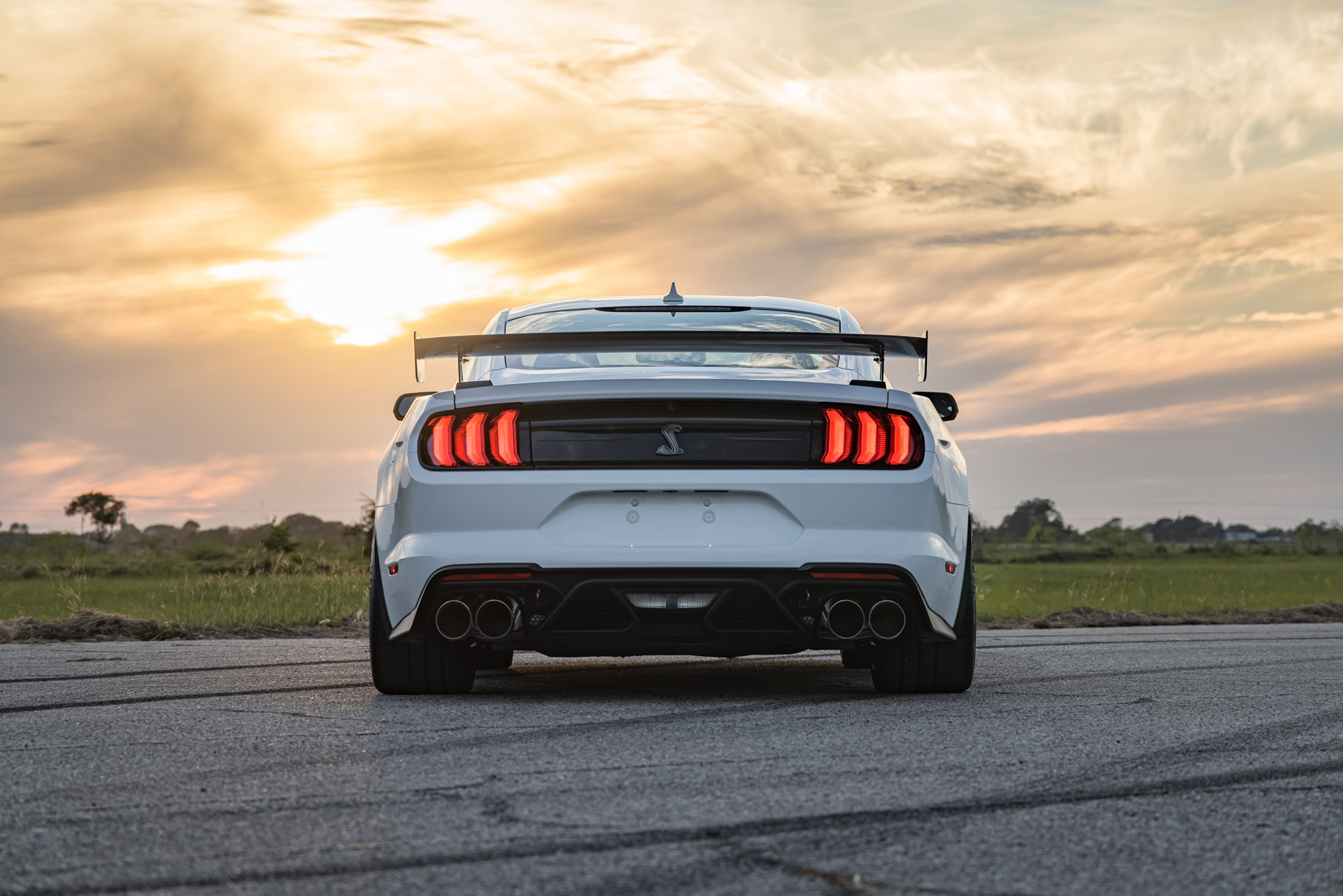 2022 Hennessey Venom 1200 Mustang GT500 Rear Wallpapers (10)