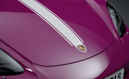 2023 Porsche 718 Boxster Style Edition Detail Wallpapers 450x275 (17)