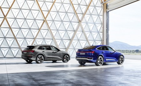 2024 Audi Q8 e-tron quattro (Color: Chronos Gray metallic) Rear Three-Quarter Wallpapers 450x275 (32)