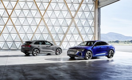 2024 Audi Q8 e-tron quattro (Color: Chronos Gray metallic) Side Wallpapers 450x275 (35)