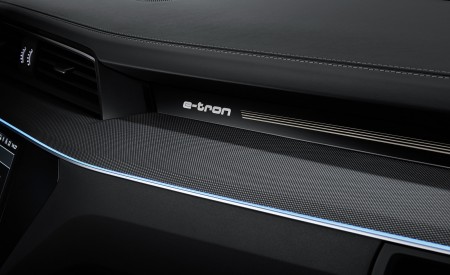 2024 Audi SQ8 Sportback e-tron quattro Interior Detail Wallpapers 450x275 (51)