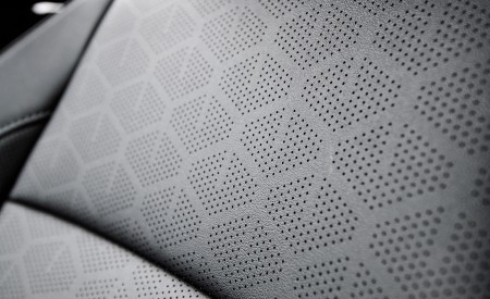2024 Kia Seltos Interior Seats Wallpapers 450x275 (18)