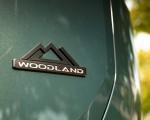 2026 Toyota RAV4 HEV Woodland Badge HD Wallpaper 150x120 (23)