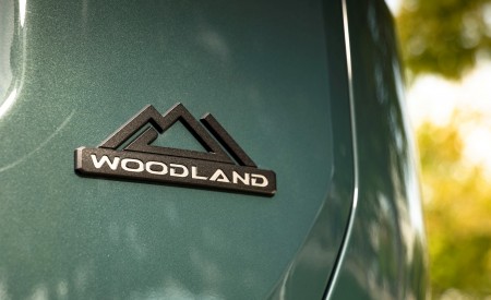 2026 Toyota RAV4 HEV Woodland Badge Wallpaper 450x275 (23)